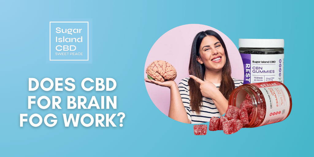 Does CBD For Brain Fog Work?